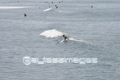 ���󥿥�˥��ӡ���