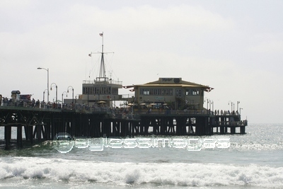 ���󥿥�˥��ԥ�