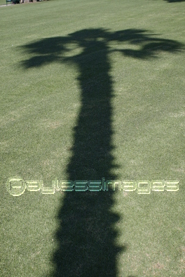 �䥷���ڤα�