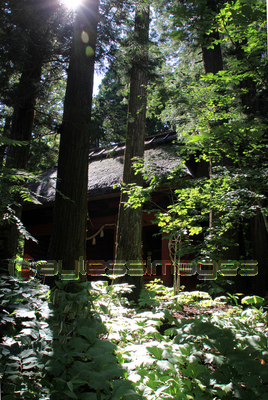 �ͱ����ұ���