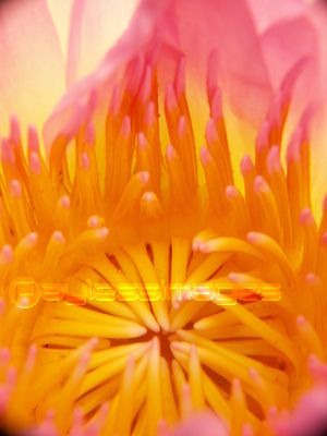 Ǯ�����������