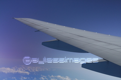 ���Ե�����