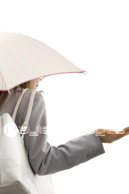 �����򤵤�����