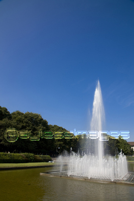 �����ʮ��