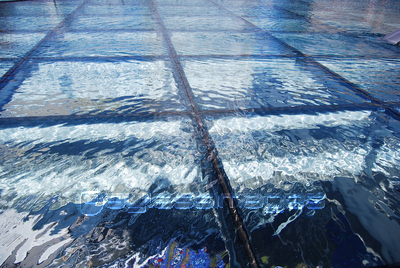 ��α�����