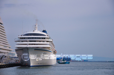 ���ͥ����������ե����