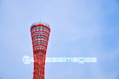 ���ͥݡ��ȥ��