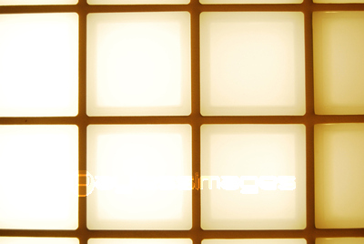 �Ȥ餵�줿��