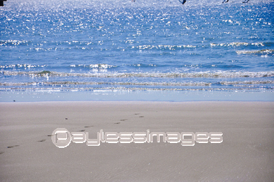 ���ӳ��ߤγ�