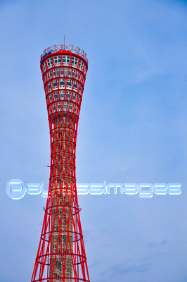 ���ͥݡ��ȥ��