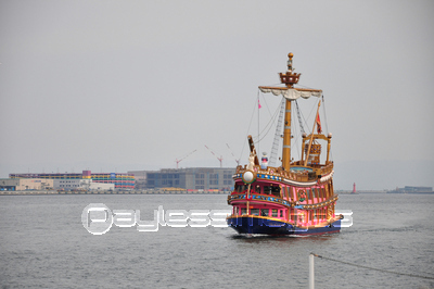 ���ͥ����������ե����