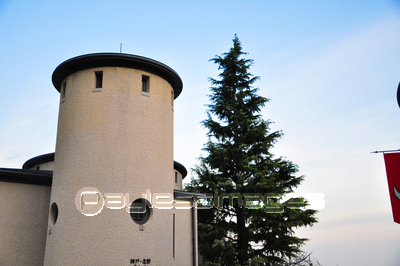 �������󥪡����ȥꥢ�β�