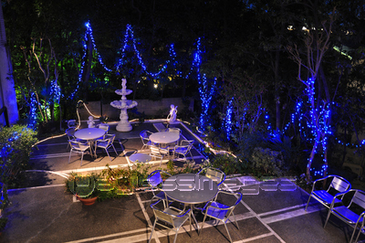 ����ߥ͡������˾Ȥ餵�줿�ƥ饹