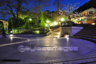 ����Į����