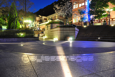 ����Į����