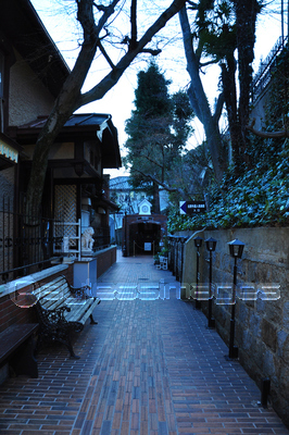 ����Ͷ���������