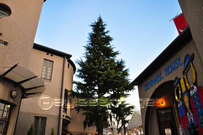 �������󥪡����ȥꥢ�β�