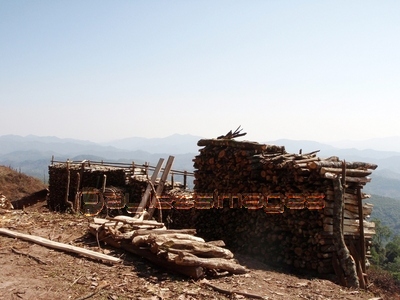 ��ƻ�˵ͤޤ줿�Ťλ�