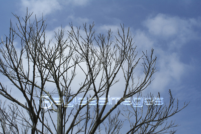 �Ϥ�ޤ��Ķ�