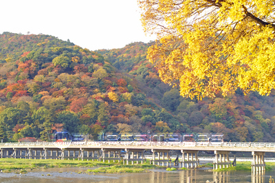 渡月橋 ストックフォトの定額制ペイレスイメージズ