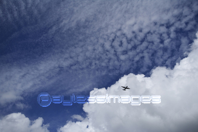 �������Ե�