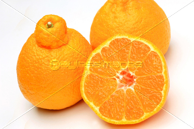 デコポン 商用利用可能な写真素材 イラスト素材ならストックフォトの定額制ペイレスイメージズ