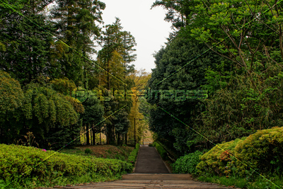 ����ȴ���뻶��ƻ