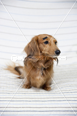 ���å���