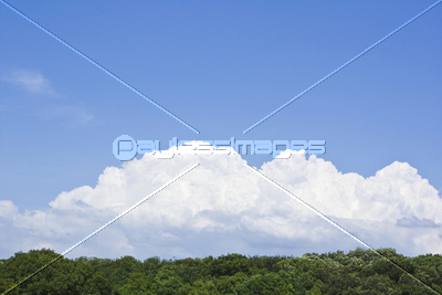 ��������Ķ�