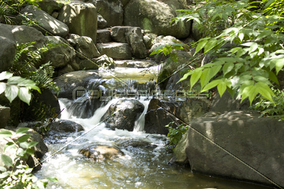 ����Τ����餮