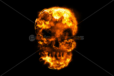 スカル 商用利用可能な写真素材 イラスト素材ならストックフォトの定額制ペイレスイメージズ