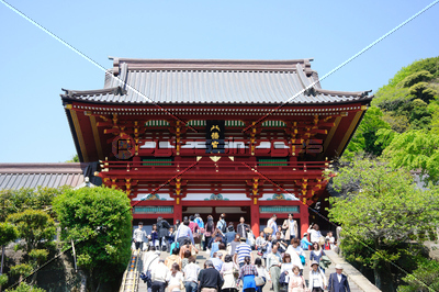 鎌倉 鶴岡八幡宮 ストックフォトの定額制ペイレスイメージズ