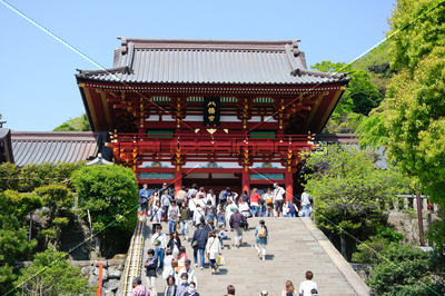 ラブリー鶴岡 八幡宮 イラスト ただのディズニー画像