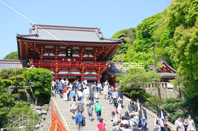 鎌倉 鶴岡八幡宮 商用利用可能な写真素材 イラスト素材ならストックフォトの定額制ペイレスイメージズ