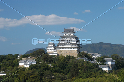 ɱϩ������-1