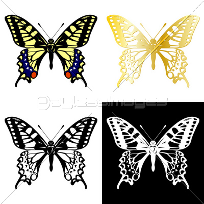 アゲハ蝶のイラスト ストックフォトの定額制ペイレスイメージズ