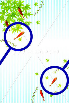 暑中見舞い 金魚 夏 はがき 商用利用可能な写真素材 イラスト素材ならストックフォトの定額制ペイレスイメージズ
