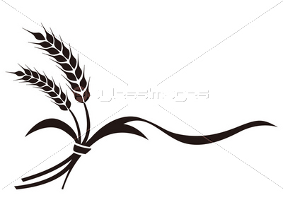 麦 イラスト 麦 イラスト - 商用利用可能な写真素材・イラスト素材なら