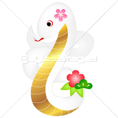 巳 蛇 白蛇 年賀状 商用利用可能な写真素材 イラスト素材ならストックフォトの定額制ペイレスイメージズ