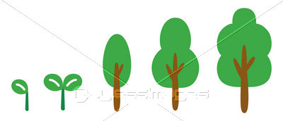 木の成長 商用利用可能な無料素材 フリー素材ならペイレスイメージズ