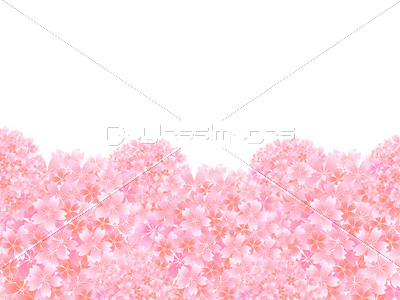 桜 さくら 背景 春 商用利用可能な写真素材 イラスト素材ならストックフォトの定額制ペイレスイメージズ