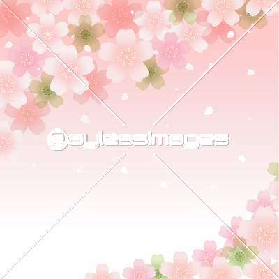 桜 花びら 花吹雪 背景 バックグラウンド イラスト ストックフォトの