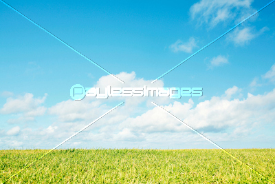 草原と空の写真 イラスト素材 Xf ペイレスイメージズ