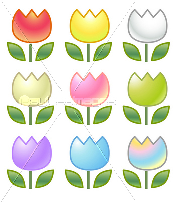 ���塼��åס�����ե륻�å�