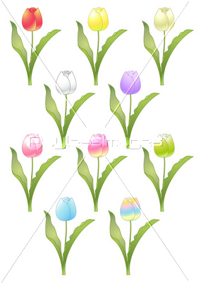 ���塼��åס�����ե륻�å�