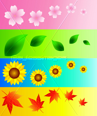 桜 葉 ひまわり もみじ 背景 ストックフォトの定額制ペイレスイメージズ