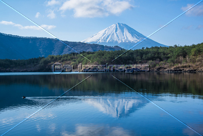 西湖の逆さ富士