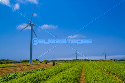 農園と風力発電機