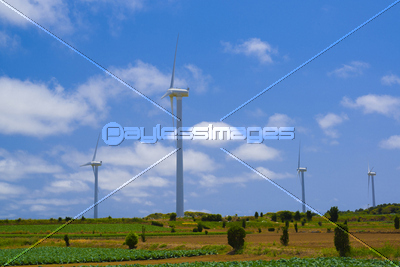 農園と風力発電機