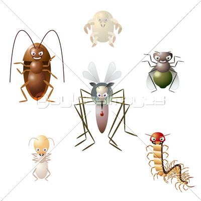 害虫害虫駆除イラスト 商用利用可能な写真素材 イラスト素材ならストックフォトの定額制ペイレスイメージズ